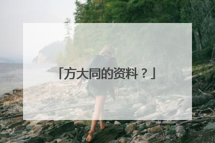 方大同的资料?