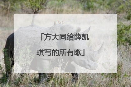 方大同给薛凯琪写的所有歌