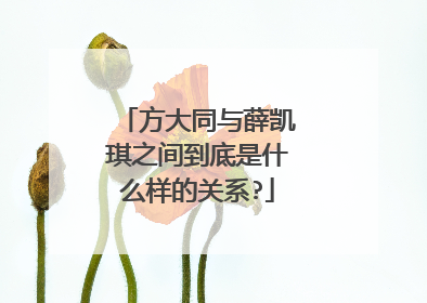 方大同与薛凯琪之间到底是什么样的关系?