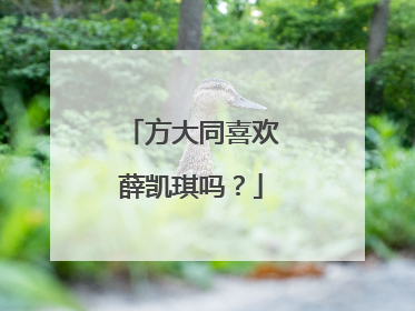 方大同喜欢薛凯琪吗？