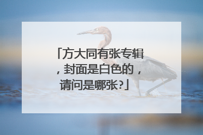 方大同有张专辑，封面是白色的，请问是哪张?