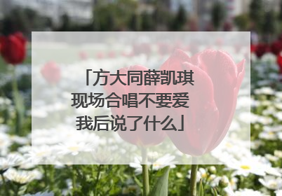 方大同薛凯琪现场合唱不要爱我后说了什么