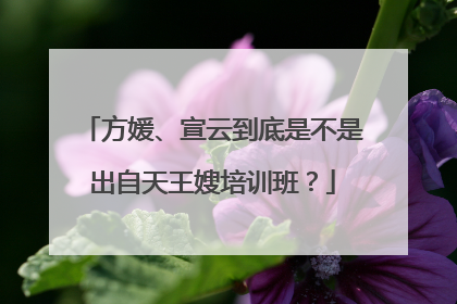 方媛、宣云到底是不是出自天王嫂培训班？