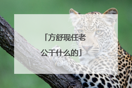 方舒现任老公干什么的