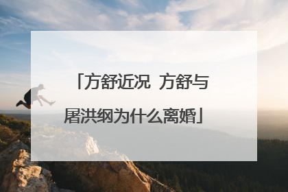 方舒近况 方舒与屠洪纲为什么离婚