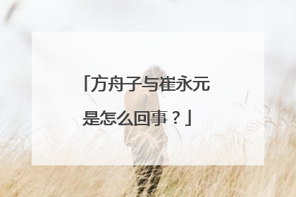 方舟子与崔永元是怎么回事？