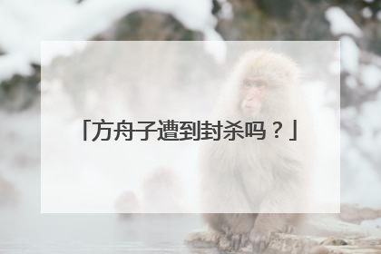 方舟子遭到封杀吗?