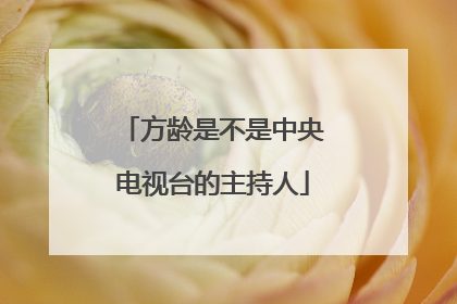方龄是不是中央电视台的主持人