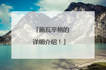 施瓦辛格的详细介绍！