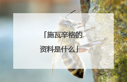 施瓦辛格的资料是什么