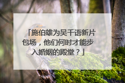 施伯雄为吴千语新片包场，他们何时才能步入婚姻的殿堂？