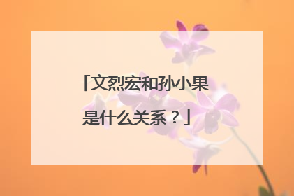 文烈宏和孙小果是什么关系?
