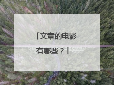 文章的电影有哪些?