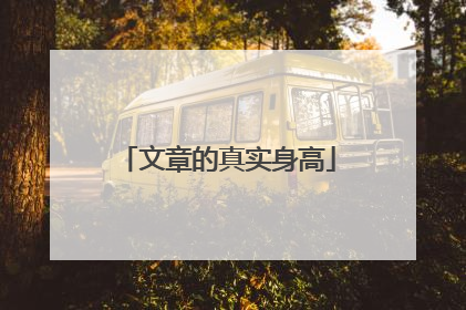 文章的真实身高
