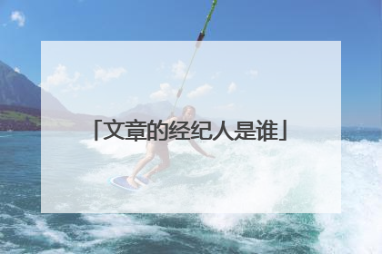 文章的经纪人是谁