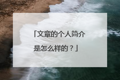 文章的个人简介是怎么样的?