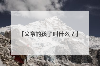 文章的孩子叫什么?