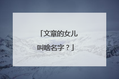 文章的女儿叫啥名字?
