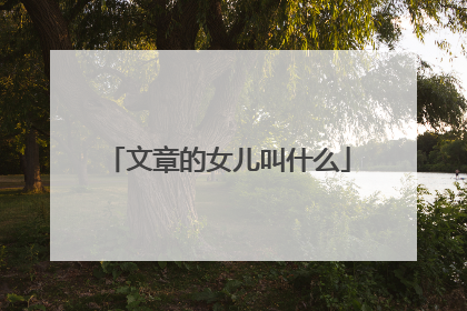 文章的女儿叫什么
