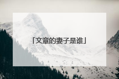 文章的妻子是谁