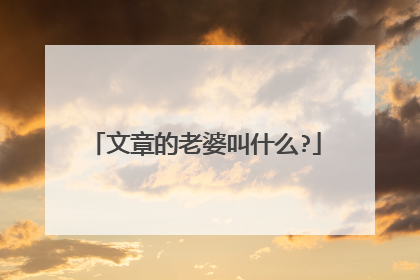 文章的老婆叫什么?