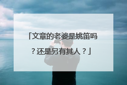 文章的老婆是姚笛吗？还是另有其人？