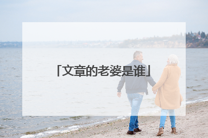 文章的老婆是谁