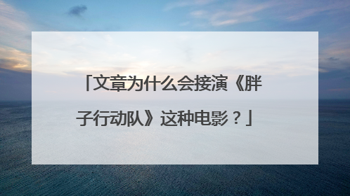 文章为什么会接演《胖子行动队》这种电影?