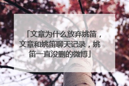 文章为什么放弃姚笛,文章和姚笛聊天记录,姚笛一直没删的微博