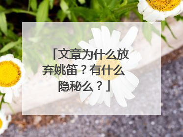 文章为什么放弃姚笛？有什么隐秘么？