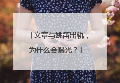 文章与姚笛出轨,为什么会曝光?