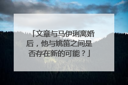 文章与马伊琍离婚后,他与姚笛之间是否存在新的可能?