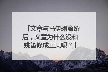 文章与马伊琍离婚后，文章为什么没和姚笛修成正果呢？