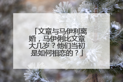 文章与马伊利离婚,马伊俐比文章大几岁?他们当初是如何相恋的?
