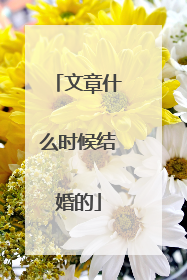 文章什么时候结婚的