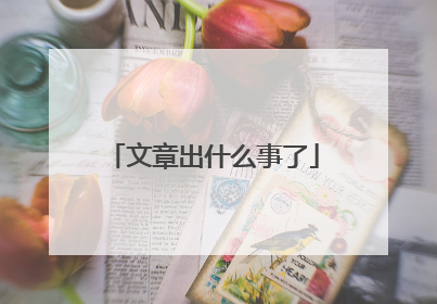 文章出什么事了