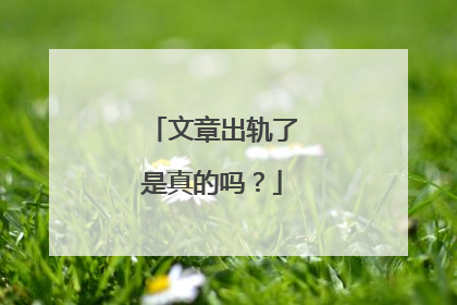 文章出轨了是真的吗？