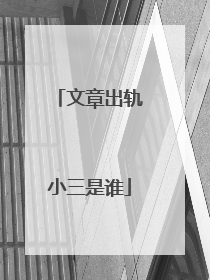 文章出轨小三是谁