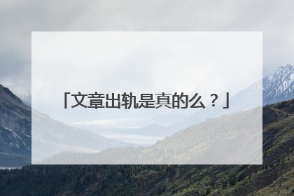 文章出轨是真的么？