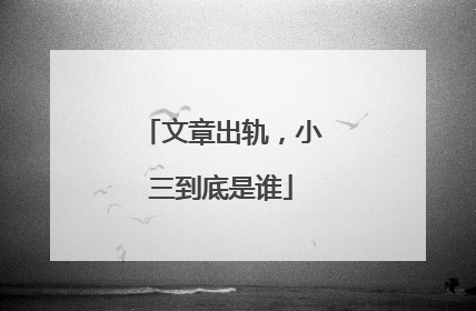 文章出轨,小三到底是谁