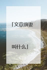 文章前妻叫什么