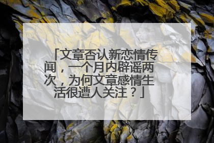 文章否认新恋情传闻，一个月内辟谣两次，为何文章感情生活很遭人关注？