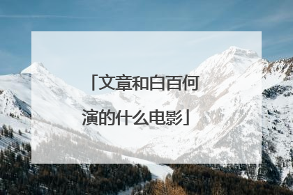文章和白百何演的什么电影