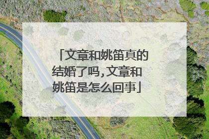 文章和姚笛真的结婚了吗,文章和姚笛是怎么回事