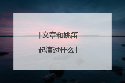 文章和姚笛一起演过什么