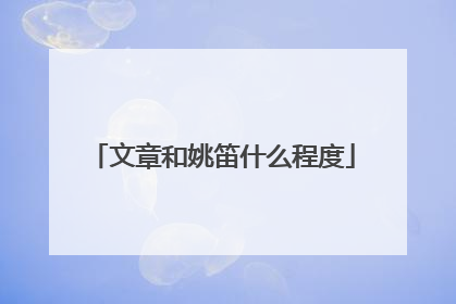 文章和姚笛什么程度