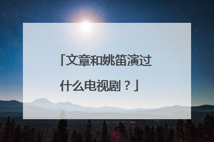 文章和姚笛演过什么电视剧？