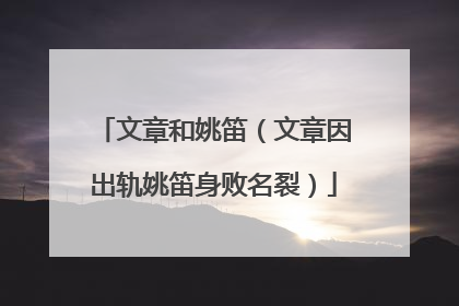 文章和姚笛（文章因出轨姚笛身败名裂）