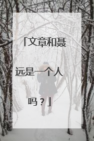 文章和聂远是一个人吗？