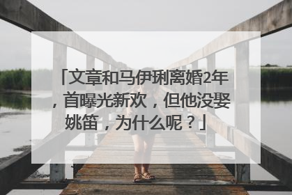文章和马伊琍离婚2年，首曝光新欢，但他没娶姚笛，为什么呢？